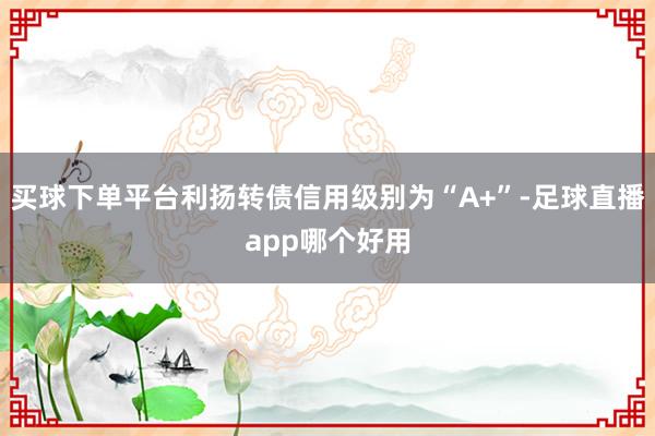 买球下单平台利扬转债信用级别为“A+”-足球直播app哪个好用