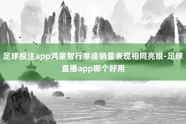 足球投注app鸿蒙智行举座销量表现相同亮眼-足球直播app哪个好用