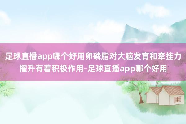 足球直播app哪个好用卵磷脂对大脑发育和牵挂力擢升有着积极作用-足球直播app哪个好用