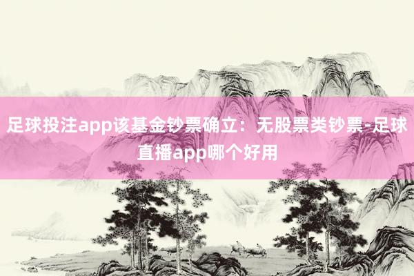 足球投注app该基金钞票确立：无股票类钞票-足球直播app哪个好用