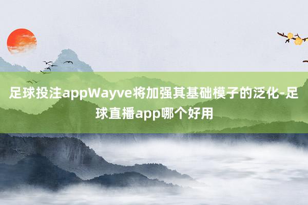 足球投注appWayve将加强其基础模子的泛化-足球直播app哪个好用