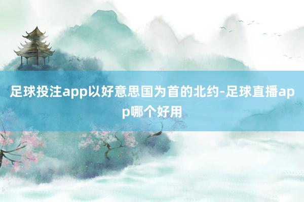 足球投注app以好意思国为首的北约-足球直播app哪个好用