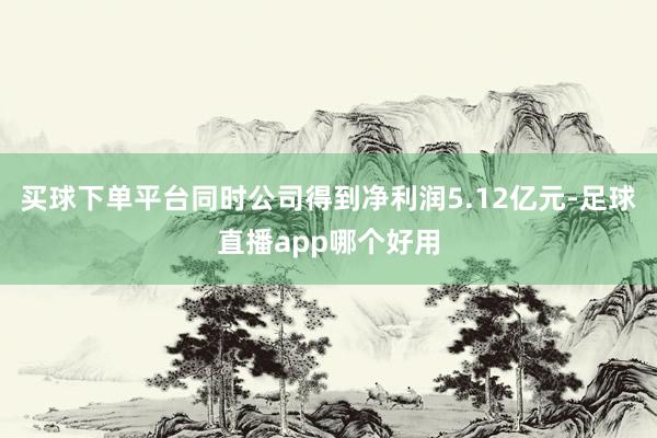 买球下单平台同时公司得到净利润5.12亿元-足球直播app哪个好用