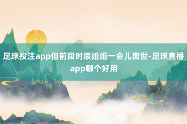 足球投注app但前段时辰姐姐一会儿离世-足球直播app哪个好用