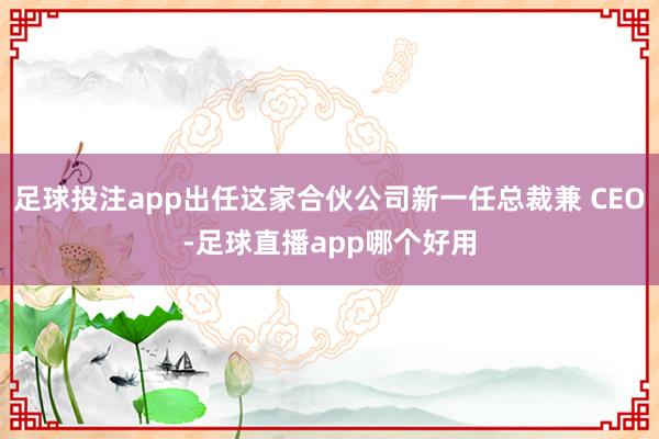 足球投注app出任这家合伙公司新一任总裁兼 CEO-足球直播app哪个好用