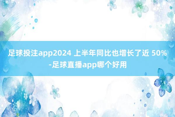 足球投注app2024 上半年同比也增长了近 50%-足球直播app哪个好用