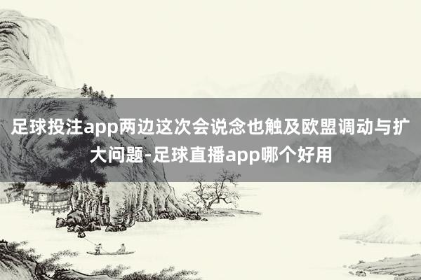 足球投注app两边这次会说念也触及欧盟调动与扩大问题-足球直播app哪个好用