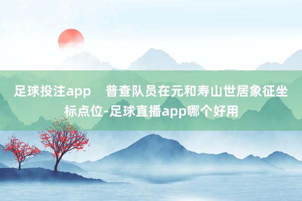 足球投注app    普查队员在元和寿山世居象征坐标点位-足球直播app哪个好用