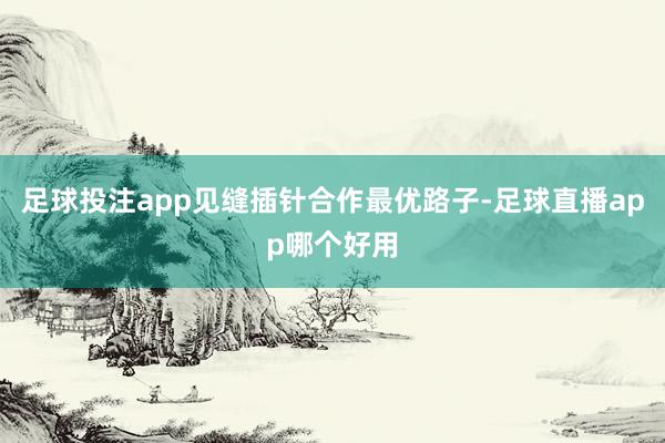 足球投注app见缝插针合作最优路子-足球直播app哪个好用