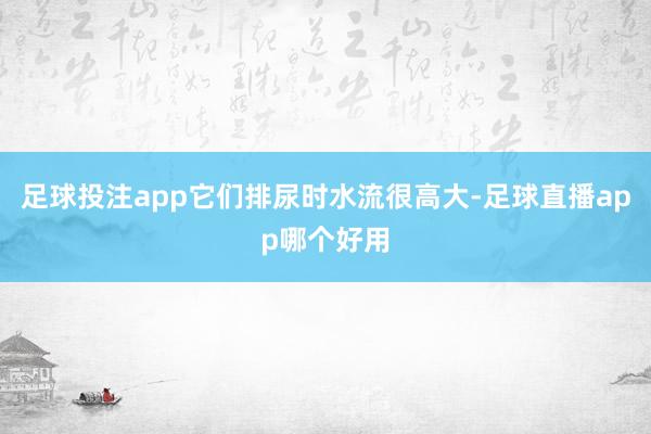 足球投注app它们排尿时水流很高大-足球直播app哪个好用