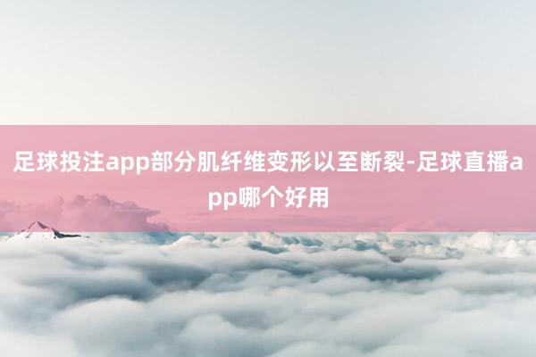 足球投注app部分肌纤维变形以至断裂-足球直播app哪个好用