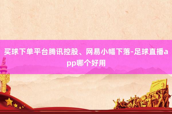 买球下单平台腾讯控股、网易小幅下落-足球直播app哪个好用