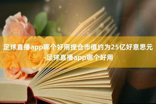足球直播app哪个好用捏仓市值约为25亿好意思元-足球直播app哪个好用