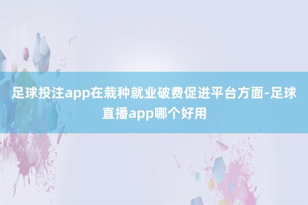 足球投注app　　在栽种就业破费促进平台方面-足球直播app哪个好用