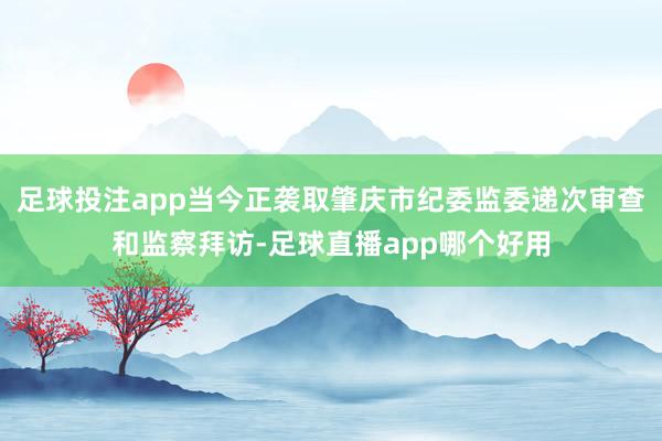 足球投注app当今正袭取肇庆市纪委监委递次审查和监察拜访-足球直播app哪个好用