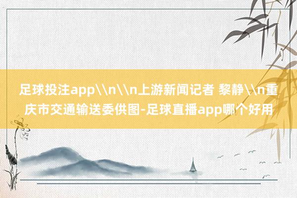 足球投注app\n\n上游新闻记者 黎静\n重庆市交通输送委供图-足球直播app哪个好用