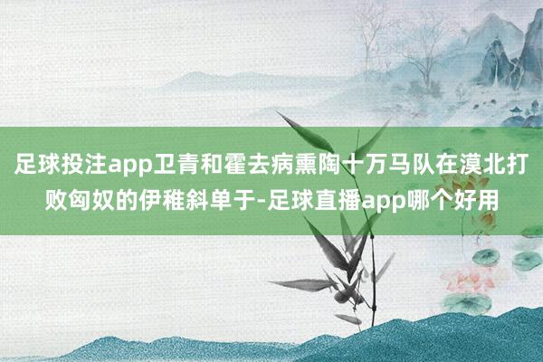 足球投注app卫青和霍去病熏陶十万马队在漠北打败匈奴的伊稚斜单于-足球直播app哪个好用