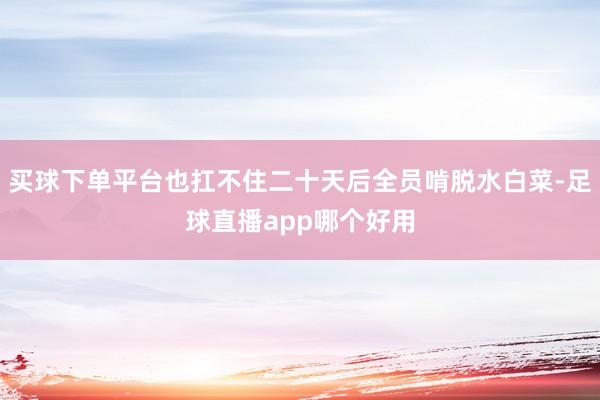 买球下单平台也扛不住二十天后全员啃脱水白菜-足球直播app哪个好用