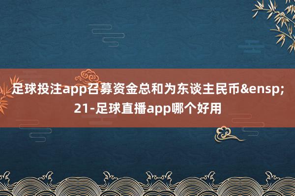 足球投注app召募资金总和为东谈主民币&ensp;21-足球直播app哪个好用