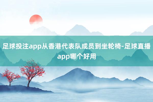 足球投注app从香港代表队成员到坐轮椅-足球直播app哪个好用